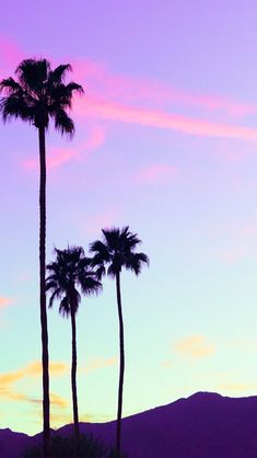 three palm trees are silhouetted against a purple sky