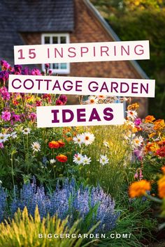 Cottage garden with a variety of colorful flowers, showcasing an inspiring, vibrant mix of plants near a traditional house. Cottage Front Garden, Rustic Outdoor Spaces, Cottage Gardening, Self Watering Containers, Outside Plants, Drought Resistant Plants, Cottage Garden Plants