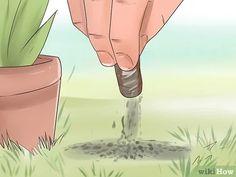 a person is digging in the ground with a garden tool to get water out of it