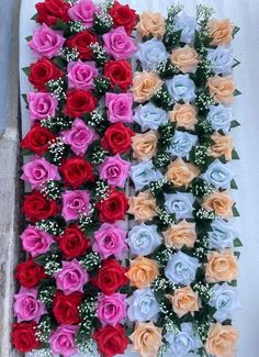 two rows of different colored roses on display