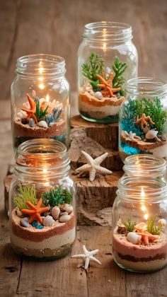 four glass jars filled with plants and rocks