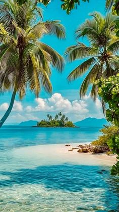 an island surrounded by palm trees in the ocean with clear blue water and white sand