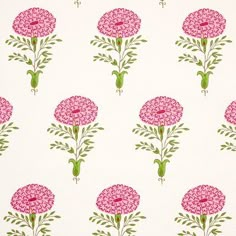 pink flowers are on a white background with green leaves and stems in the center,