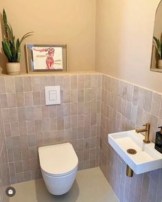 a white toilet sitting in a bathroom next to a sink and potted plants on the wall