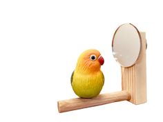 This is a bird mirror product, and many birds absolutely love looking at themselves in the mirror. It excites and comforts them, and some birds even interact with their own reflection. This bird mirror is a practical and fun product 🔥 that not only provides entertainment and stimulation for birds but also promotes a happy and healthy mindset for your feathered companion. To ensure safety, we use acrylic mirrors instead of glass as the mirror material. The only minor drawback is that acrylic sur Mini Mirror, Healthy Mindset, My Pet, Pet Bird, Happy And Healthy, Acrylic Mirror, Bird Toys, Home Decor Mirrors, Round Mirrors