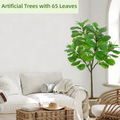 a living room with wicker furniture and a potted plant on the table in front of it