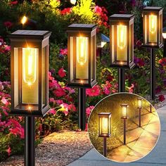 four solar powered garden lights on the side of a sidewalk with flowers in the background