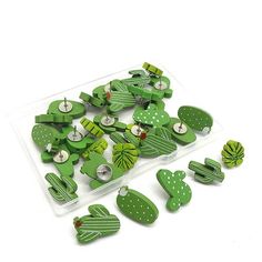 green cactus buttons in a plastic container on a white surface with clippings to them