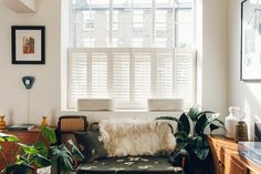 a living room filled with furniture and plants