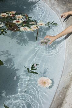 a person is reaching for flowers in the water that they are floating in and around