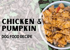 chicken and pumpkin dog food recipe in a white bowl on the ground with green leaves