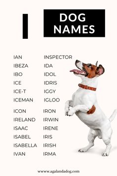 List of I Dog Names. Dog Names Disney, List Of Dog Names, Sims Names, Names Dog, I Dog, Not Human, Dogs Name, Ice T