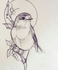 a drawing of a bird on a branch with berries