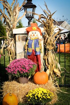 a scarecrow with flowers and pumpkins in front of it