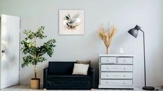 a living room filled with furniture and pictures on the wall next to a potted plant