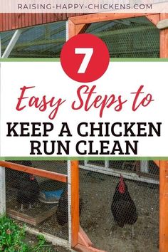 chickens in their coop with the words 7 easy steps to keep a chicken run clean