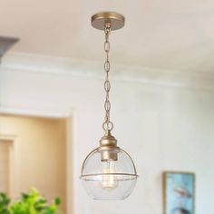 a light fixture hanging from the ceiling in a room with a potted plant behind it