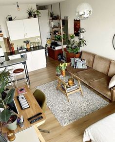 a living room filled with furniture and lots of plants