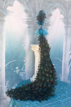 a peacock is standing on top of a blue table cloth in front of an archway