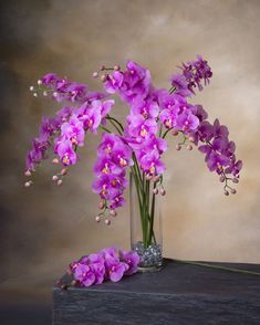 purple flowers in a glass vase on a wooden table against a gray background with an overexposed backdrop