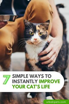 a person holding a cat with the caption 7 simple ways to instantly improve your cat's life