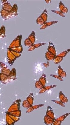 many orange butterflies flying in the sky with sparkles and stars all around them on a gray background