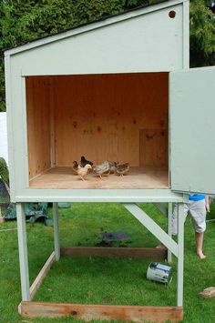 two chickens in a chicken coop on top of green grass with a man standing next to it