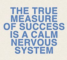 the true measure of success is a calm nervous system, with blue text on white paper