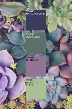 some green and purple plants are in the middle of color swatches for different shades