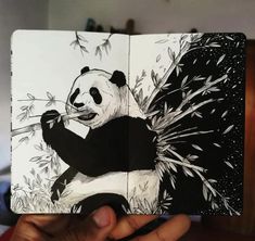 a person holding up an open book with a drawing of a panda bear eating bamboo