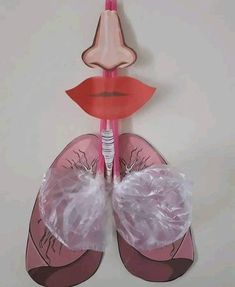 a paper cut out of the lungs with lipstick on it's face and mouth