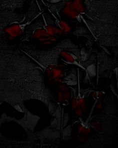 some red roses are laying on the ground