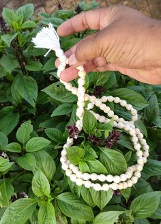 Best Big Tulasi Japa Mala Meditation Beads Round 108, Tulasi Mala Japa,Tulasi Necklace 108 Prayer Mala, Krishna Japa mala,Natural Round Best Quality Wood Beads 12mm From Vrindavan Tulsi Necklace,Basil Necklace,Kantha Necklace,Tulasi beads,Tulsi beads,Indian tulsi,hare krishna,yoga beads,wholesale india,meditation beads,Tulsi Beads,Tulasi Beads,Tulasi Necklace,Krishna Tulsi,Handmade Necklace,Holy Basil Seeds,Tulsi Mala Tulsi necklace,Hare Krishna,Tulasi beads,Tulsi beads,Indian tulsi,hare krishna Krishna Tulsi, Krishna Devotee, Tulsi Mala, Meditation Beads Mala, Sandalwood Bracelet, Yoga Beads, Radha Krishna Songs, Sanatana Dharma, Mala Meditation