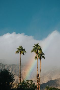 These rainbow pictures capture moments when the sky becomes a canvas of color. Storms and weather phenomena make for striking photography opportunities. Save this pin if you’re inspired by nature’s most colorful scenes! Rainbow Captions, Rainbow Drawing, Rainbow Images, Rainbow Quote, Blue Abstract Painting, Rainbow Wallpaper