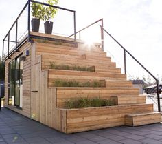 the stairs are made out of wood and have plants growing on them