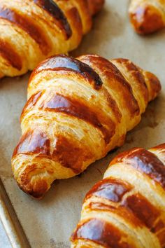 croissants on a baking sheet ready to be baked in the oven for consumption