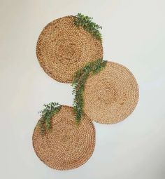 three woven placemats with green plants on them are arranged in the shape of circles