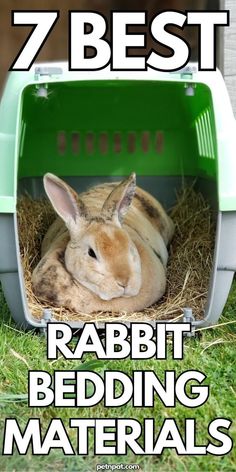 toxic bedding for rabbit Rabbit Nesting Box, Bunny Bedding, Rabbit Nest, Cedar Chips, Rabbit Meat, Pine Shavings, Bunny Beds, Rabbit Litter, Rabbit Litter Box