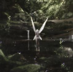 two white birds flying over water surrounded by trees and bushes, with the reflection of them in the water