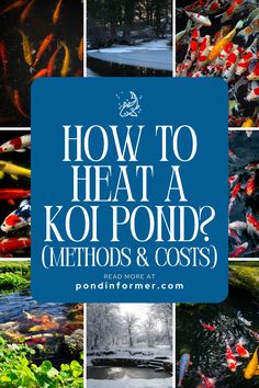 Article about how to heat a koi pond, exploring methods, costs, and tips to maintain a warm and healthy environment for your koi during winter.

Koi pond heating methods, Pond heater costs, Winter pond care