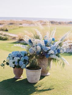 two large flower pots sitting on top of a grass covered field next to each other