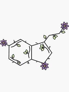 an illustration of the structure of a plant with purple flowers on each side and green leaves in the middle