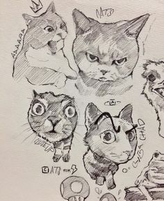 a drawing of cats with different facial expressions