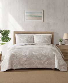 a bed with white comforter and pillows in a room next to a potted plant