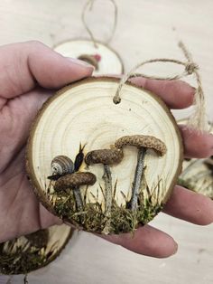 a hand holding a piece of wood with snails on it