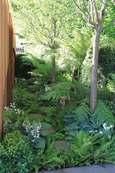 a garden with lots of green plants and trees