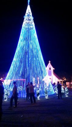 people standing in front of a lit up christmas tree