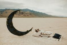 a black crescent shaped object sitting in the middle of a desert with flowers on it