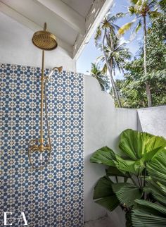 a shower head and hand held shower faucet with palm trees in the background