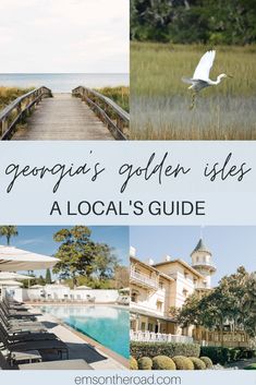 A local's guide to Georgia's Golden Isles Darien Georgia, Sea Island Georgia Wedding, Tybee Island Georgia Restaurants, Sea Island Georgia, The Cloister Sea Island Georgia